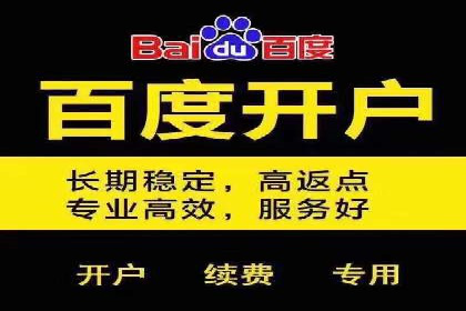 谷歌竞价广告与社交媒体结合的营销案例探讨
